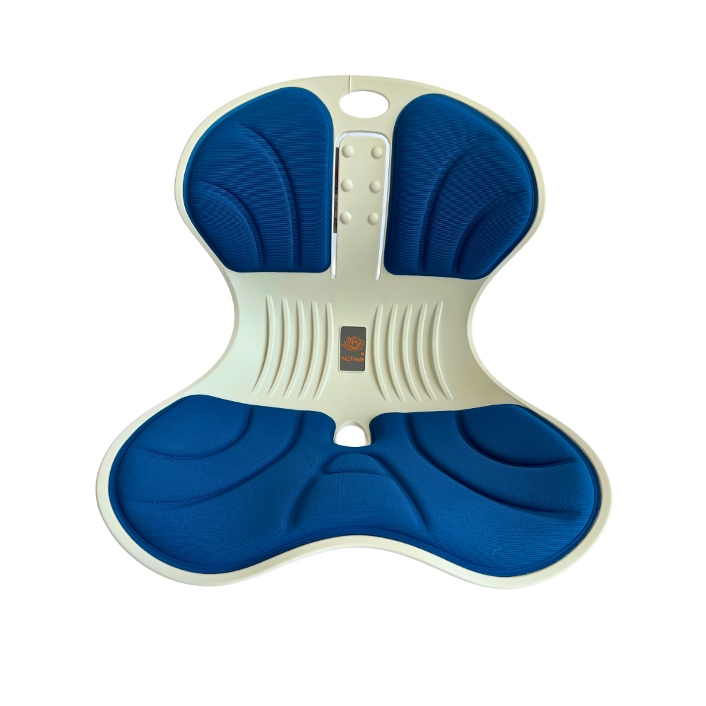 Lumbar Support