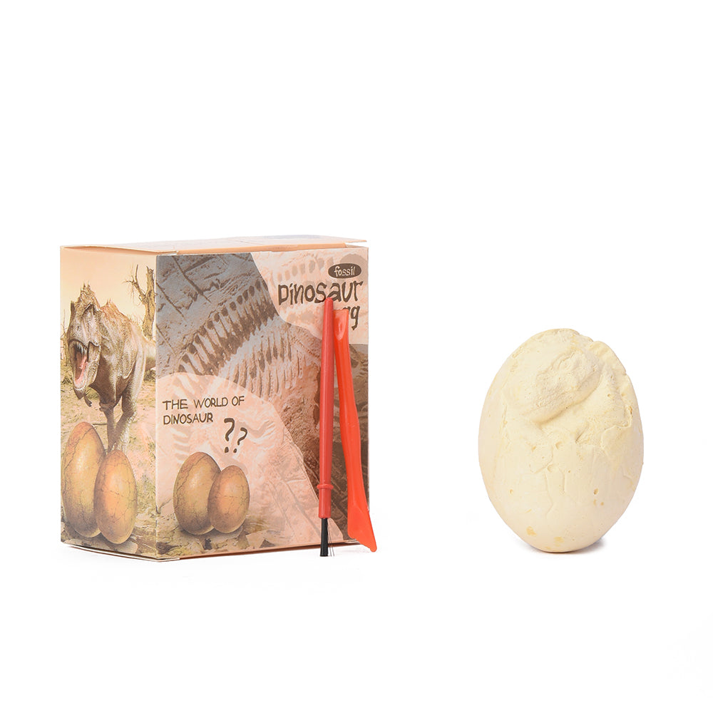 Excavation Dinosaur Egg