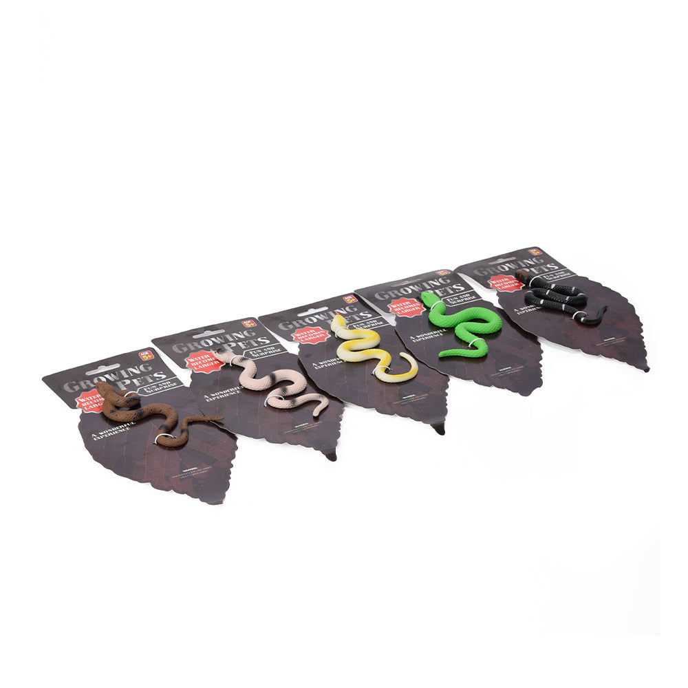 Grow-in-Water Snake Toy, Assorted Colors, AC02-4