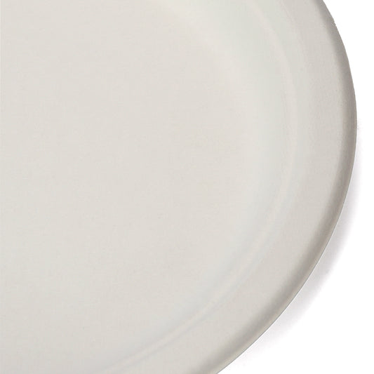 Eco-friendly Paper Plate