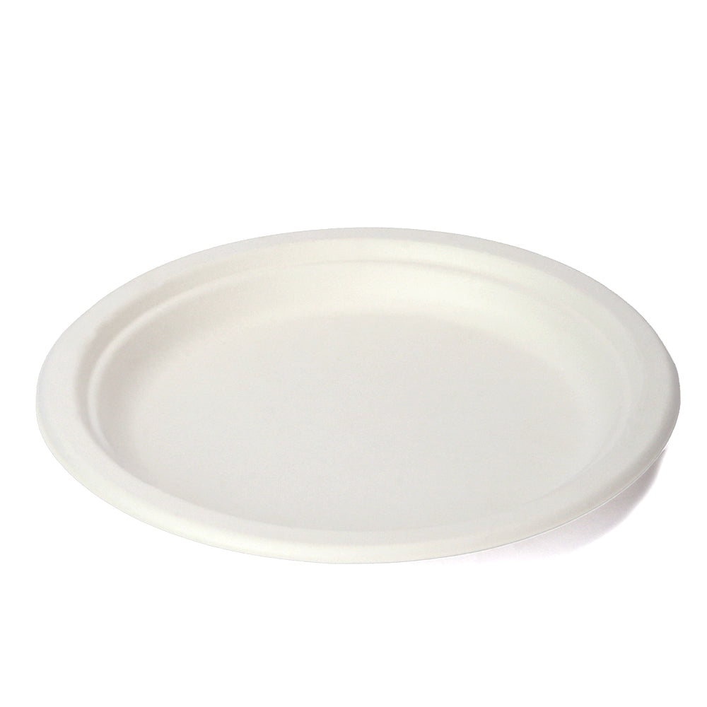 Eco-friendly Paper Plate