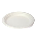 Eco-friendly Paper Plate