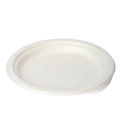 Eco-friendly Paper Plate