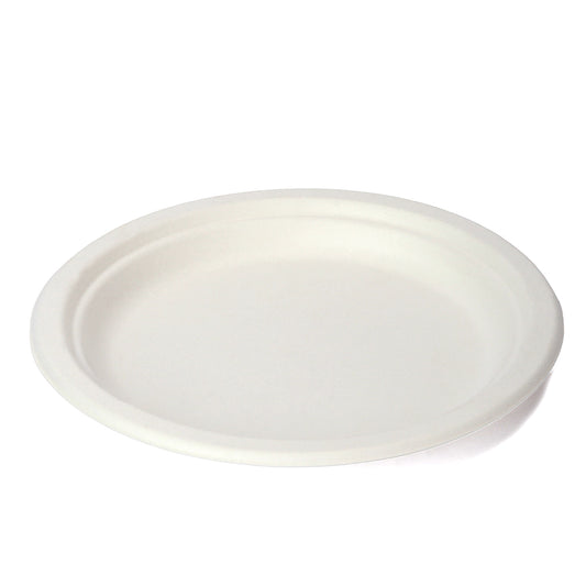 Eco-friendly Paper Plate